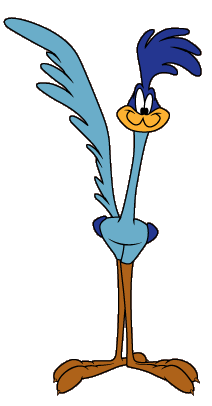 roadrunner