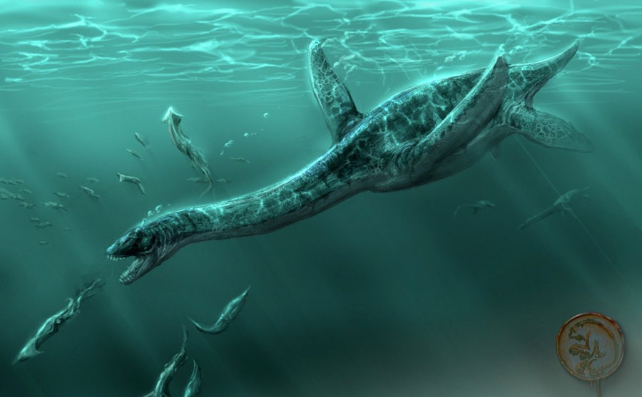 plesiosaurus