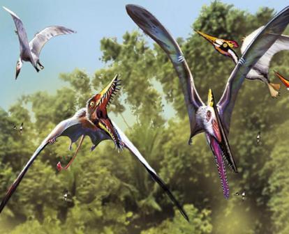 Rhamphorhynchus